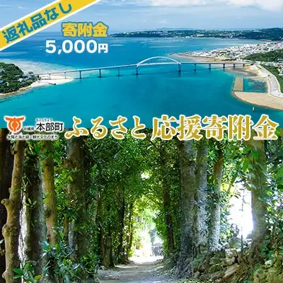【返礼品なし】沖縄県本部町ふるさと応援寄附金 5000円 寄附のみの応援 寄附のみ 返礼品なし 返礼品無し　御礼品なし　御礼品無し