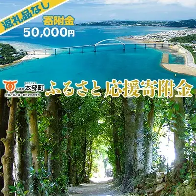 【返礼品なし】沖縄県本部町ふるさと応援寄附金 50000円 寄附のみの応援 寄附のみ 返礼品なし 返礼品無し　御礼品なし　御礼品無し