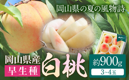岡山白桃 約900g 晴れの国おかやま館(漂流岡山) 【配送不可地域あり】