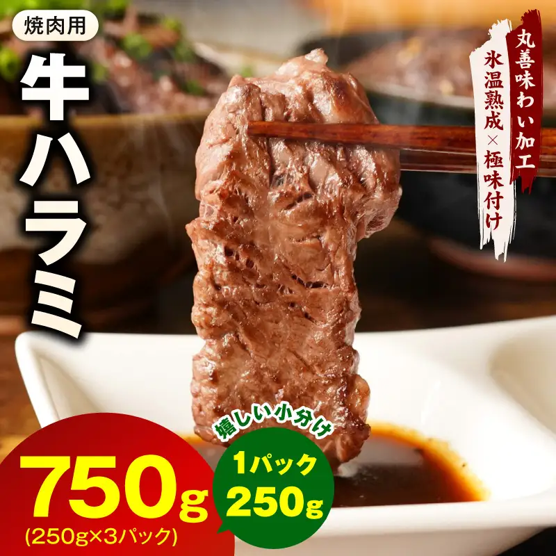 牛肉 ハラミ 750g 小分け 250g×3P 氷温熟成×極味付け