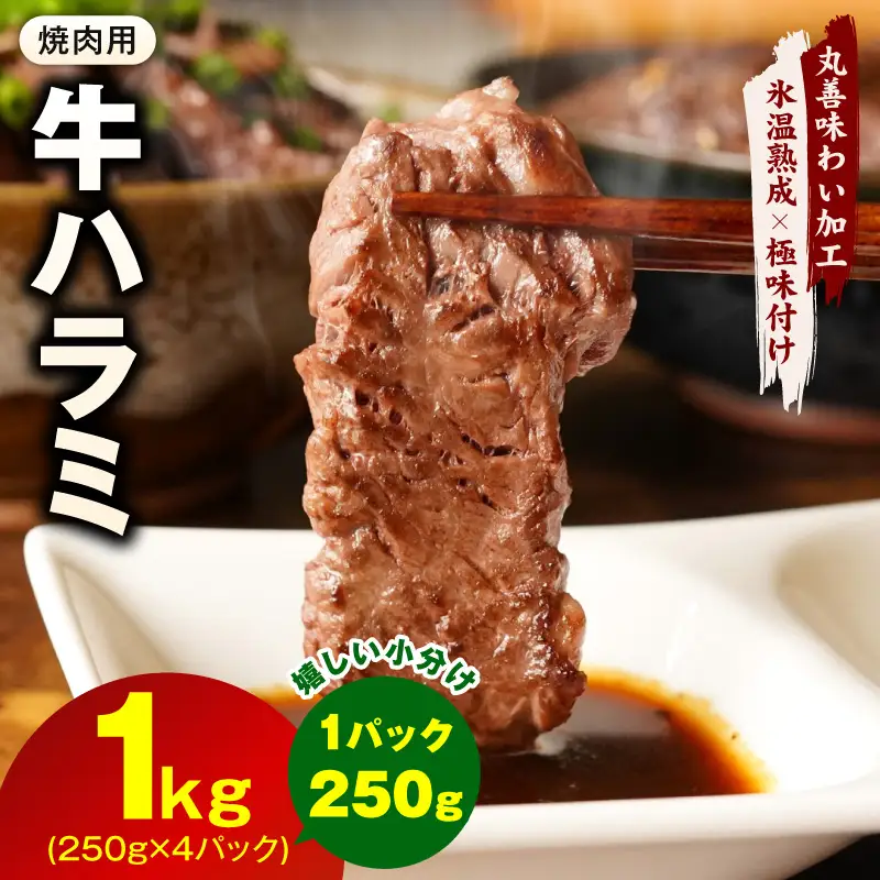牛肉 ハラミ 1kg 小分け 250g×4P 氷温熟成×極味付け