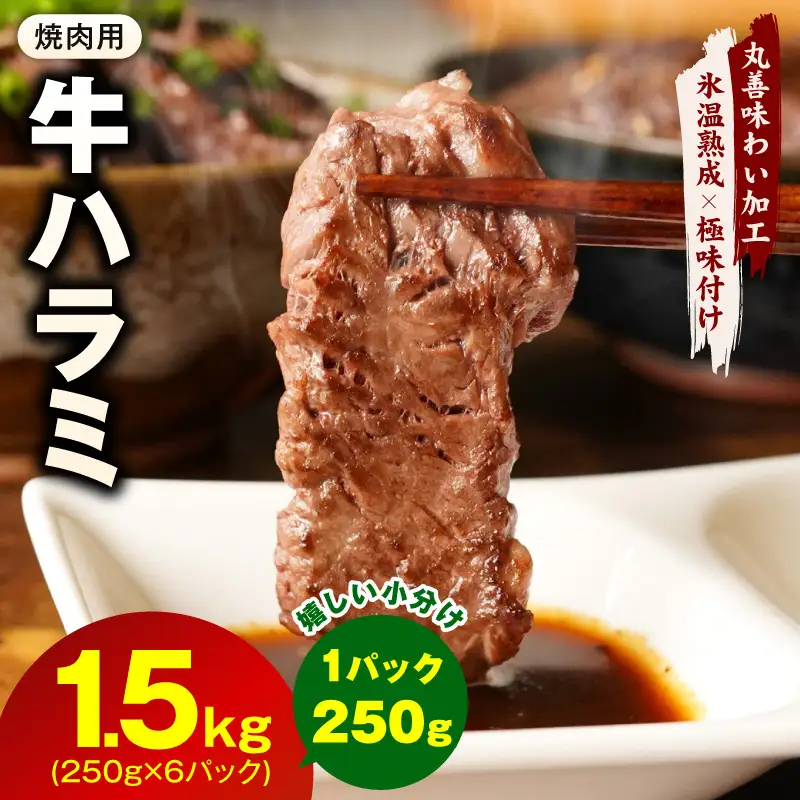 牛肉 ハラミ 1.5kg 小分け 250g×6P 氷温熟成×極味付け