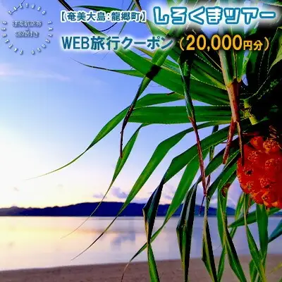 【奄美大島：龍郷町】しろくまツアーで利用可能なWEB旅行クーポン（20000円分）