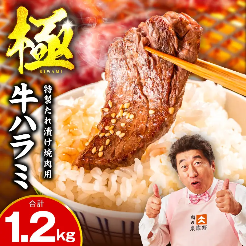 牛肉 ハラミ 1.2kg 小分け 300g×4P