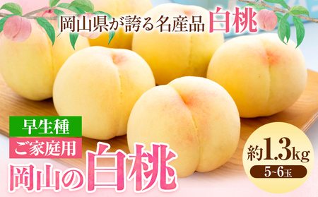 ご家庭用 岡山白桃 約1.3kg 晴れの国おかやま館(つむぐ株式会社) 【配送不可地域あり】