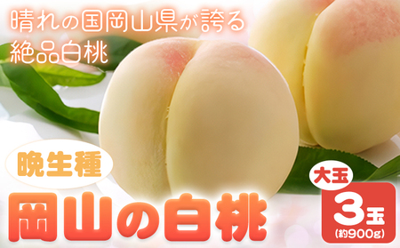 岡山白桃 約900g 晴れの国おかやま館(つむぐ株式会社) 【配送不可地域あり】