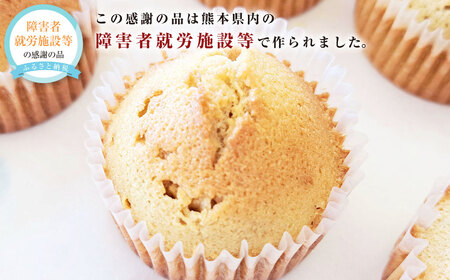 マドレーヌ4種類(プレーン・アーモンド・クルミ・レーズン)