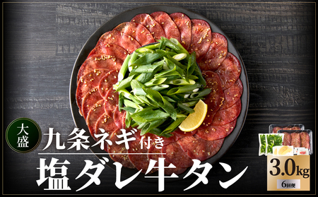 ≪定期便全6回≫【大盛九条ネギ】塩ダレ牛タン500g 薄切りタン 特製塩だれ牛たん 093-T02