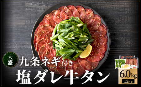 ≪定期便全12回≫【大盛九条ネギ】塩ダレ牛タン500g 薄切り牛タン 093-T03