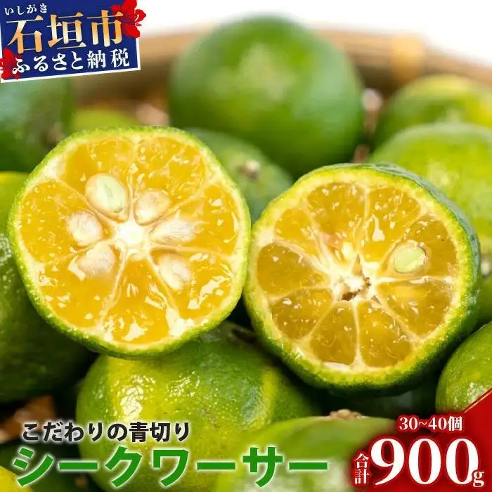 【先行予約】こだわりの青切りシークワーサー 900g 約30～40個 