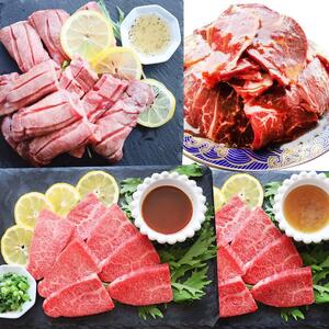 牛ハラミ 牛タン 焼肉 3種 セット 各250g (計750g)