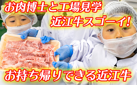 お肉博士と工場見学　近江牛スゴーイ！～お持ち帰りできる近江牛500g付～【CB13W】