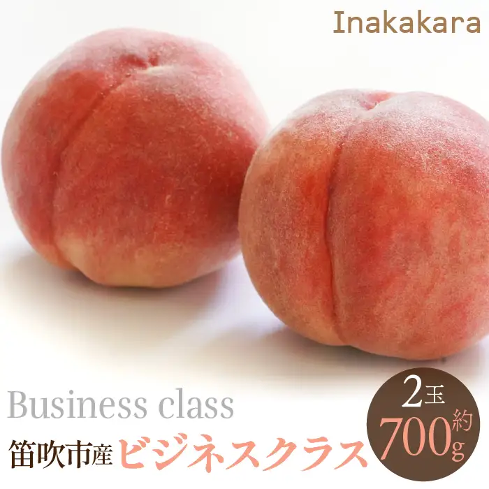 【2026年発送★先行予約】【笛吹市産】Inakakara　一宮町の桃 ビジネスクラス 2玉(1玉約350g) 192-018