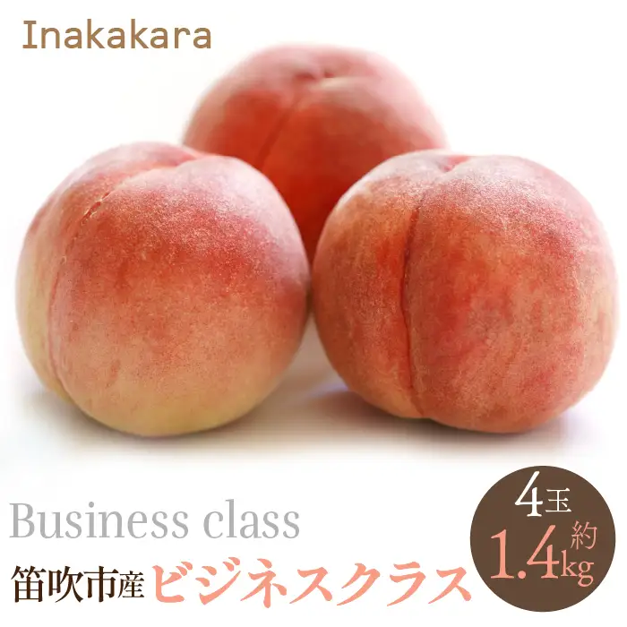 【2026年発送★先行予約】【笛吹市産】Inakakara　 一宮町の桃 ビジネスクラス 4玉(1玉約350g) 192-019