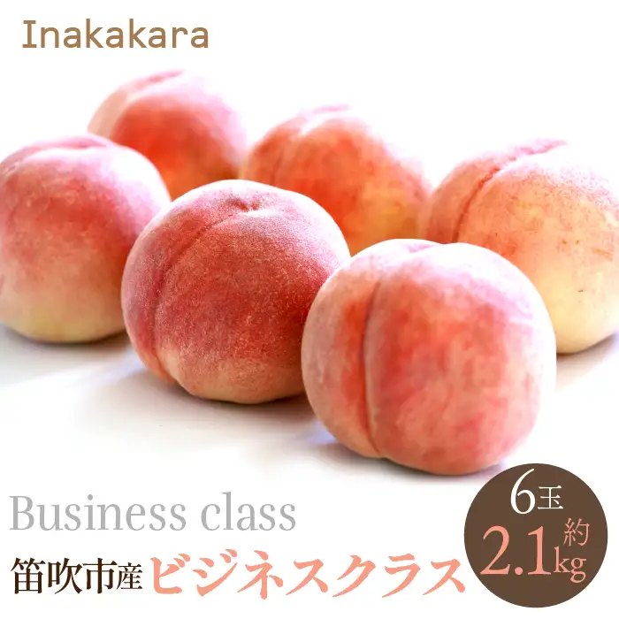 【2026年発送★先行予約】【笛吹市産】Inakakara　 一宮町の桃 ビジネスクラス 6玉(1玉約350g) 192-020