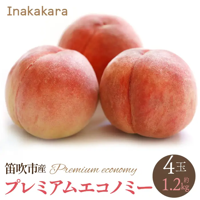 【2026年発送★先行予約】【笛吹市産】Inakakara　一宮町の桃 プレミアムエコノミー 4玉(1玉約300g) 192-022