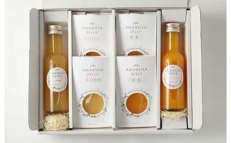 天草のフルーツを使用したジュースとゼリーセット！AMAKUSA JUICE・JELLYセット