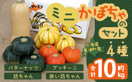 【2026年8月下旬以降順次発送】ミニかぼちゃのセット（4種） 約10kg バターナッツ プッチーニ 北海道 豊浦町産 