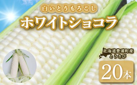 【2026年8月下旬以降順次発送】ホワイトショコラ　白いとうもろこし 20本 北海道 豊浦町産 とうきび 