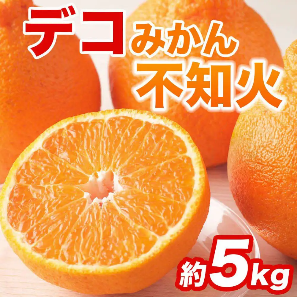 【先行予約】 不知火 デコみかん (デコポン同品種) 約5kg (12～24玉) みかん 柑橘 【2027年2月上旬より順次発送】