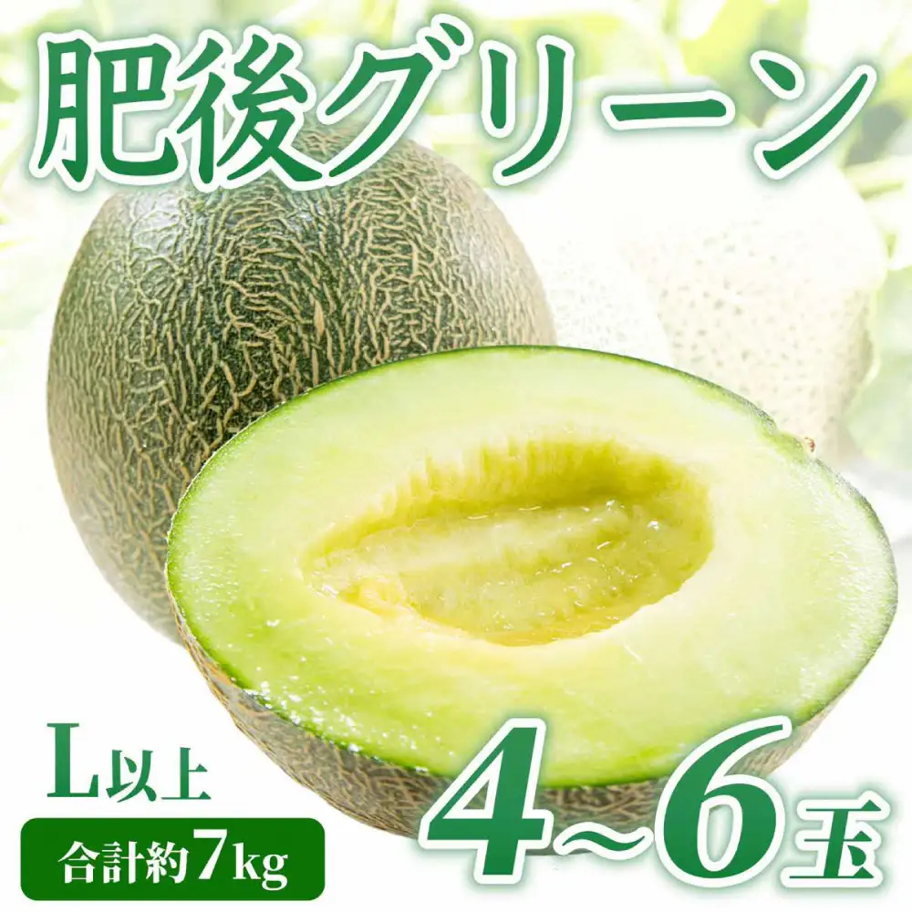 熊本県八代市産 肥後グリーンメロン L以上  4～6玉 約7kg 果物 くだもの フルーツ 肥後グリーン メロン 青肉メロン