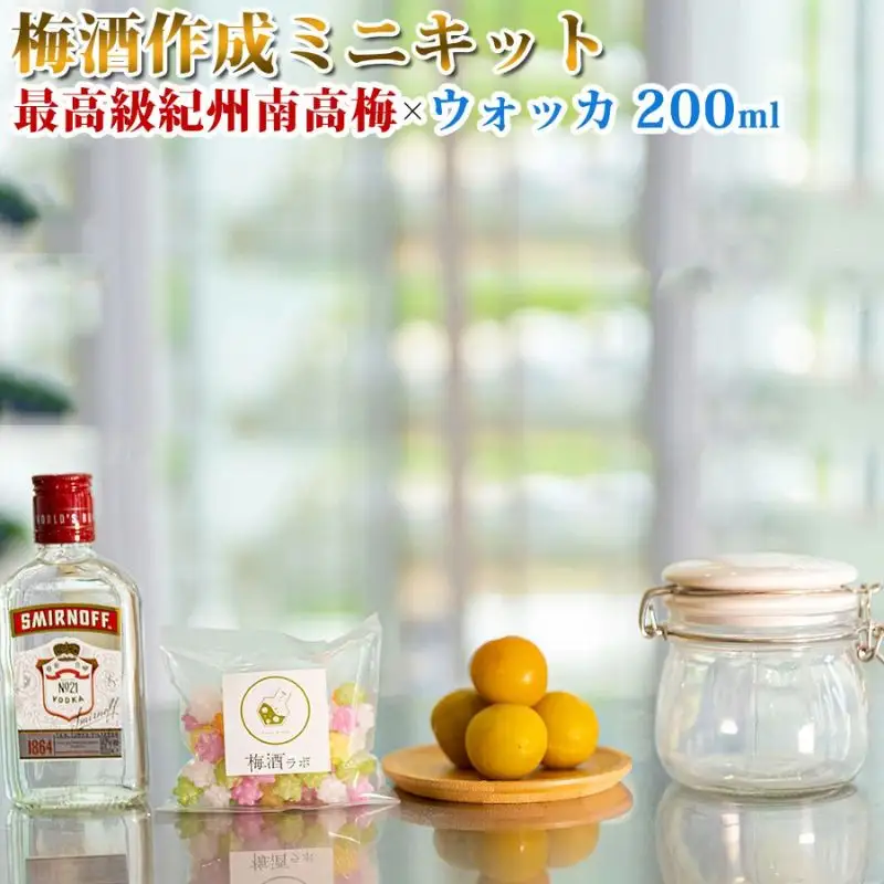 梅酒作成ミニキット（ウォッカベース）umslabo002A【umslabo002A】