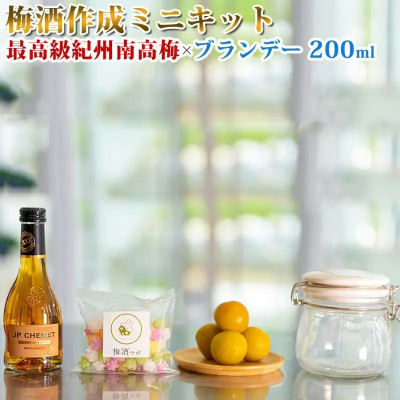 梅酒作成ミニキット（ブランデーベース）umslabo005A【umslabo005A】