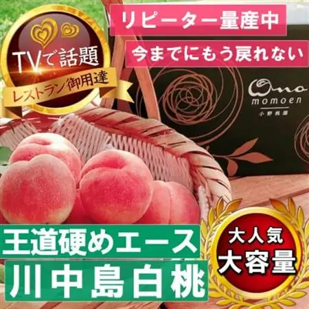 【王道硬めのエース川中島白桃】桃グランプリ銅賞＆5年連続TV出演話題ブランド2026年8月上旬発送【配送不可地域：離島・北海道・沖縄県・中国・四国・九州】【1465326】