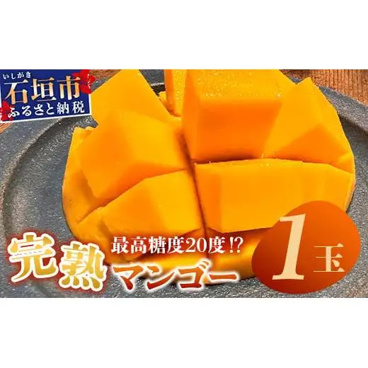【先行予約】3Lサイズ 石垣島マンゴー 約400g　TF-10-1_R8