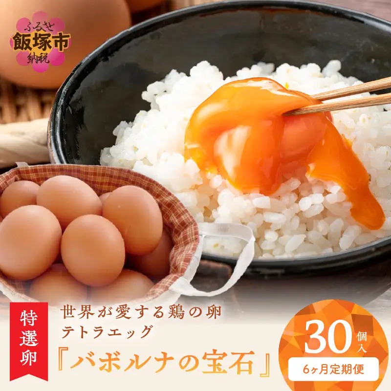 テトラエッグ特選卵『バボルナの宝石』（30個/月）【6カ月定期便】【E7-004】