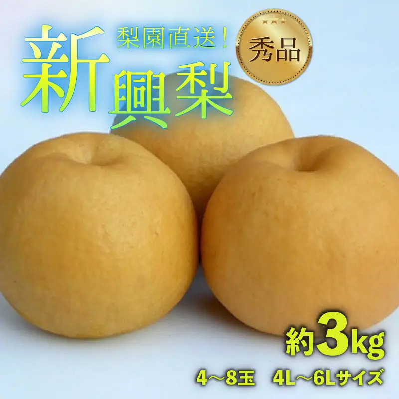 【先行予約】上野梨園の新興梨 約3kg  4L～6L【秀品】《数量限定》梨園直送！  / 期間限定 果物 フルーツ 農家直送 シャキシャキ もぎたて 旬 お取り寄せ ※2026年10月上旬より順次発送 [aw077-a026]