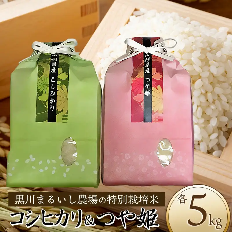 【令和7年産】 黒川まるいし農場の特別栽培米つや姫 5kg・コシヒカリ 5kg (計10kg) 山形県鶴岡市産　K-787