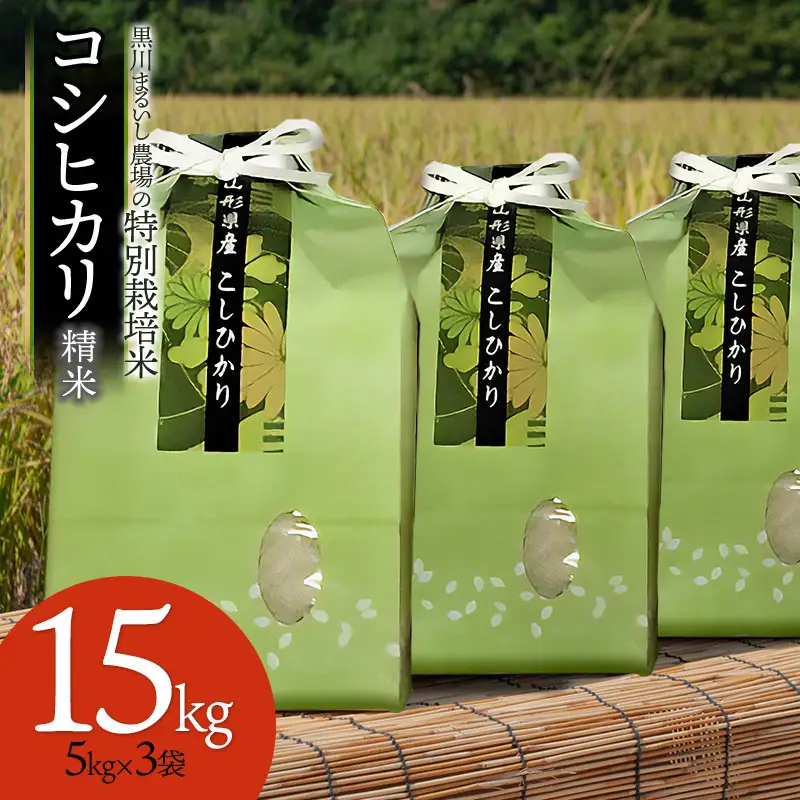 【令和7年産】 黒川まるいし農場の特別栽培米 コシヒカリ 精米 15kg(5kg×3袋) 山形県鶴岡市産　K-7129