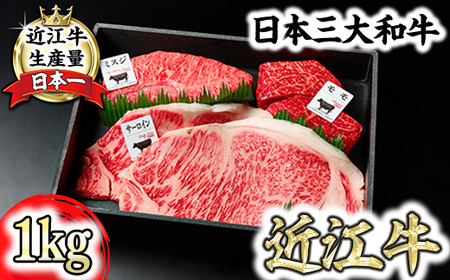 近江牛 ステーキ 厳選 3種盛 1kg 【FO16W】 牛肉ステーキ サーロイン