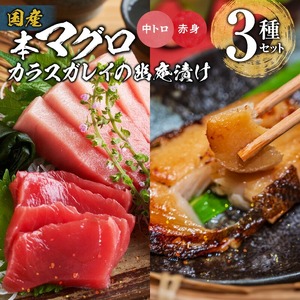 国産本マグロとカラスガレイの幽庵漬け詰め合わせ 3種セット_国産本マグロ カラスガレイ 幽庵漬け 詰め合わせ 3種セット 海鮮 海産物 本マグロ 赤身柵 中トロ 真空パック マイナス60℃ 液体冷凍 ヨシマサ 久留米惣吉 福岡県 久留米市 お取り寄せ お取り寄せグルメ 送料無料 〔Cs335〕
