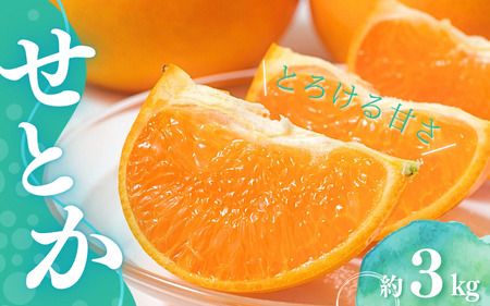 【先行予約】橋本農園のせとか 3kg 玉数・サイズおまかせ【2027年3月上旬～3月下旬に順次発送】/ みかん ミカン 蜜柑 せとか 柑橘 果物 くだもの フルーツ 予約 人気 ジューシー 甘い 産地直送 せとか【mht011A】
