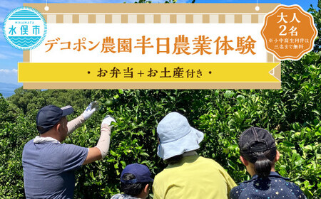 デコポン農園農業体験