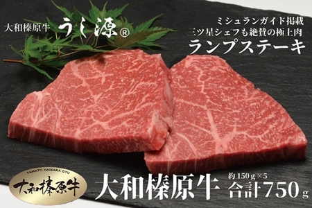 （冷凍） 大和榛原牛 稀少部位もも ランプ ステーキ 150ｇ×5枚 計750ｇ ／ うし源 本店 ふるさと納税 A5 赤身 あっさり 父の日 キャンプ バーベキュー 奈良県 宇陀市 お中元 贈答用 贈り物 暑中見舞い お土産 お歳暮 内祝いまとめ買い 美味しい部位 正月