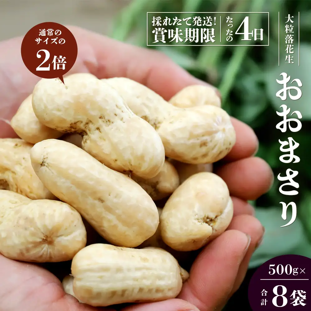 【先行予約】食べ応え抜群の大粒落花生「おおまさり」500g袋×８袋≪数量限定≫ FR-314｜鹿児島県産 野菜 やさい 食品 人気 おすすめ 送料無料 落花生 おおまさり 産地直送 新鮮 南大隅町
