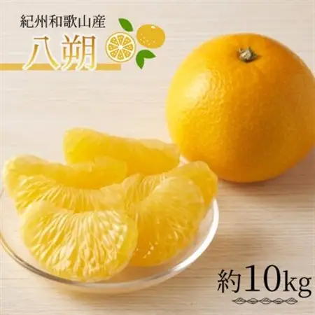 紀州和歌山産八朔(はっさく)約10kg【1469894】