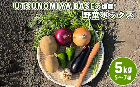 UTSUNOMIYA BASEの畑産野菜ボックス 5kg