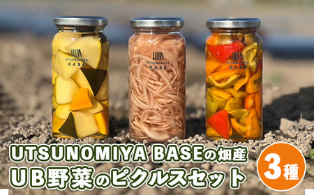  UTSUNOMIYA BASEの畑産 UB野菜のピクルス【3種セット】