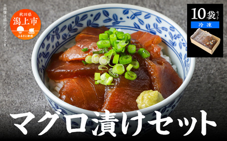 マグロ漬け丼セット 60g×10袋 計600g 訳アリ 訳あり 簡易包装 冷凍 時短 簡単調理 お手軽 小分け パック 個包装 一人暮らし 海鮮丼 海鮮 鮪 季節 魚 漬け 丼 魚介 おすすめ 送料無料 【西村魚屋】