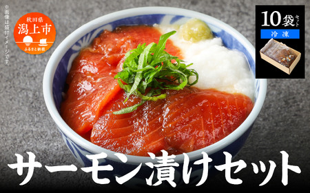 サーモン漬け丼セット 60g×10袋 計600g 訳アリ 訳あり 簡易包装 冷凍 時短 簡単調理 お手軽 小分け パック 個包装 一人暮らし 海鮮丼 海鮮 鮭 季節 魚 漬け 丼 魚介 おすすめ 送料無料 【西村魚屋】