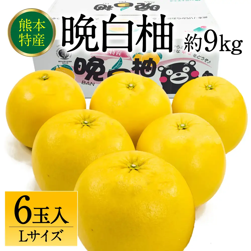 【先行予約】 晩白柚 ばんぺいゆ Lサイズ 6玉 約9kg 晩白柚 柑橘 【2026年12月上旬より順次発送】