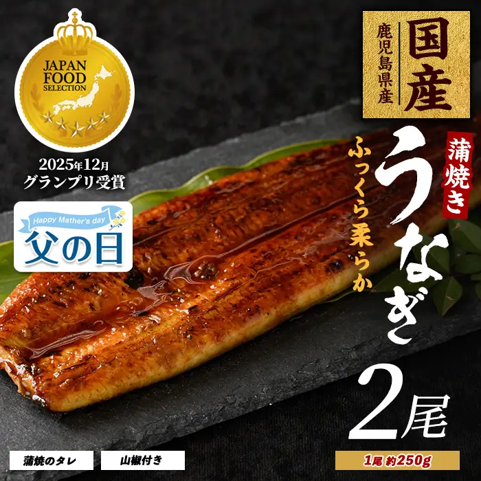 【父の日ギフト】【鹿児島県産】うなぎ蒲焼じっくり焼き約250g×2尾 木目化粧箱入り 大新 IB021-001f