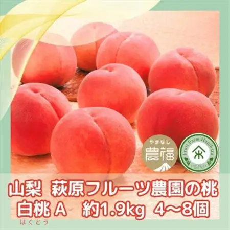 【2026年発送】山梨・萩原フルーツ農園の白桃　A (約1.9kg 4～8個)【配送不可地域：離島】【1477610】