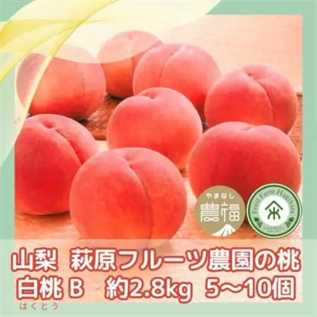 【2026年発送】山梨・萩原フルーツ農園の白桃　B (約2.8kg 5～10個)【配送不可地域：離島】【1477611】