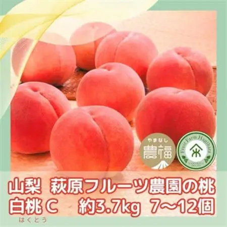 【2026年発送】山梨・萩原フルーツ農園の白桃　C (約3.7kg 7～12個)【配送不可地域：離島】【1477612】