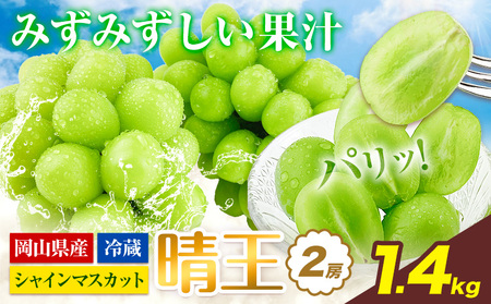 【2026年発送】シャインマスカット 晴王  1.4kg   ハレノフルーツ マスカット　【配送不可地域あり】